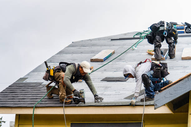 Professional Gutter Installation technician working in La Marque, TX